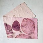 WhatsApp Image 2025-02-20 at 12.20.17